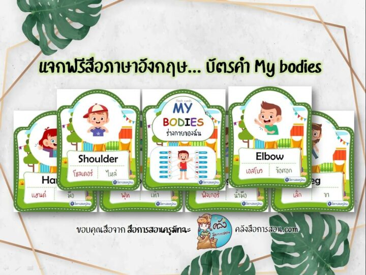 แจกฟรี สื่อการสอน วิชาภาษาอังกฤษ บัตรคำ My bodies โดย สื่อการสอนครูมัทฉะ
