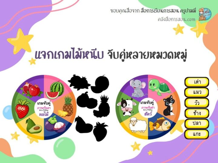 แจกฟรี สื่อการสอน แจกเกมไม้หนีบจับคู่ หลากหลายหมวดหมู่ โดย สื่อการเรียนการสอน ครูปามมี่