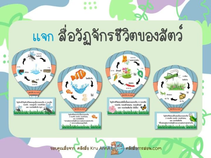 แจกฟรี สื่อการสอน วิชาวิทยาศาสตร์ สื่อวัฏจักรชีวิตของสัตว์ โดย คลังสื่อ Kru AnnA